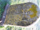 image number NStow124